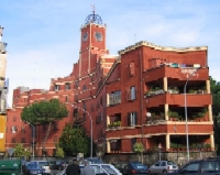 Algergo Rosso