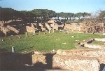 Neptuns termer